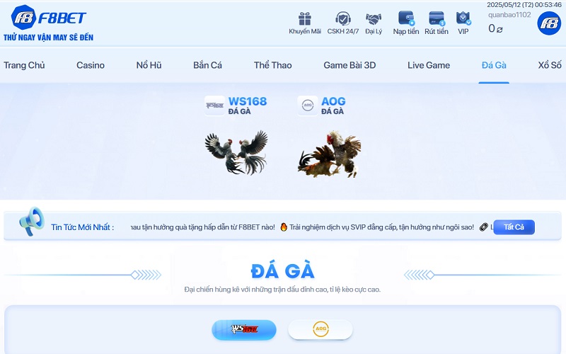 Đá Gà F8bet5 – Mãn nhãn với những trận đấu kịch tính