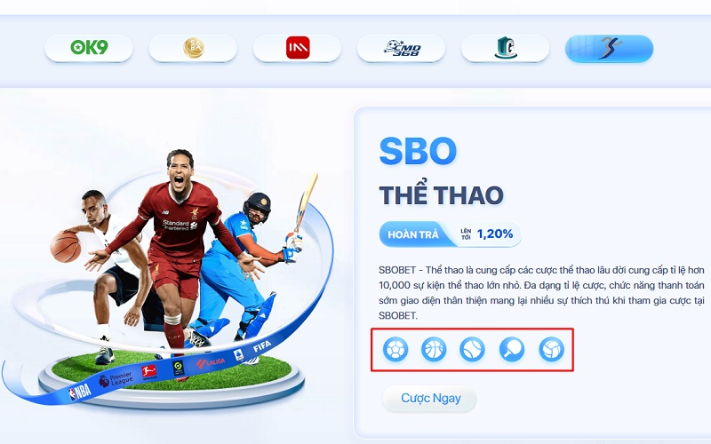 Tổng hợp môn thể thao không nên bỏ lỡ